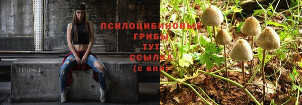 каннабис Майский