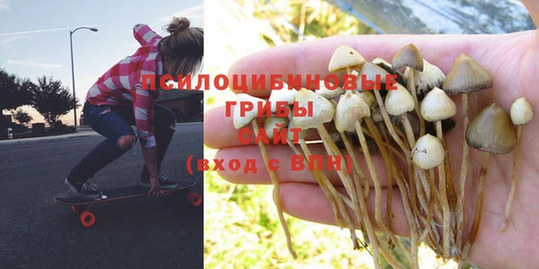 бошки Магадан