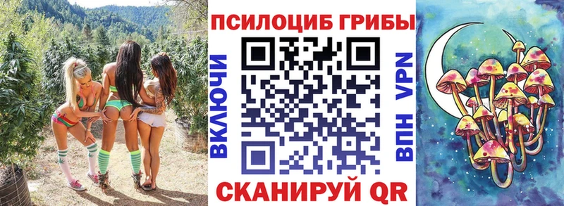 ОМГ ОМГ зеркало  Сим  Галлюциногенные грибы Cubensis 